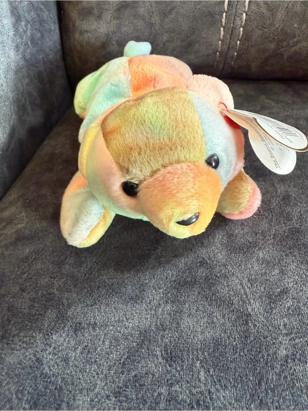 Ty Pastel Rainbow Sammy